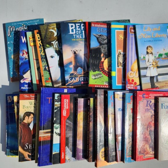 4 Book Bundle Lot Set Chapter Books Young Adult Literature Novels Mystery Books - Picture 13 of 16